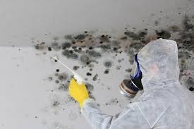 Best Basement Mold Removal in Mount Union, PA